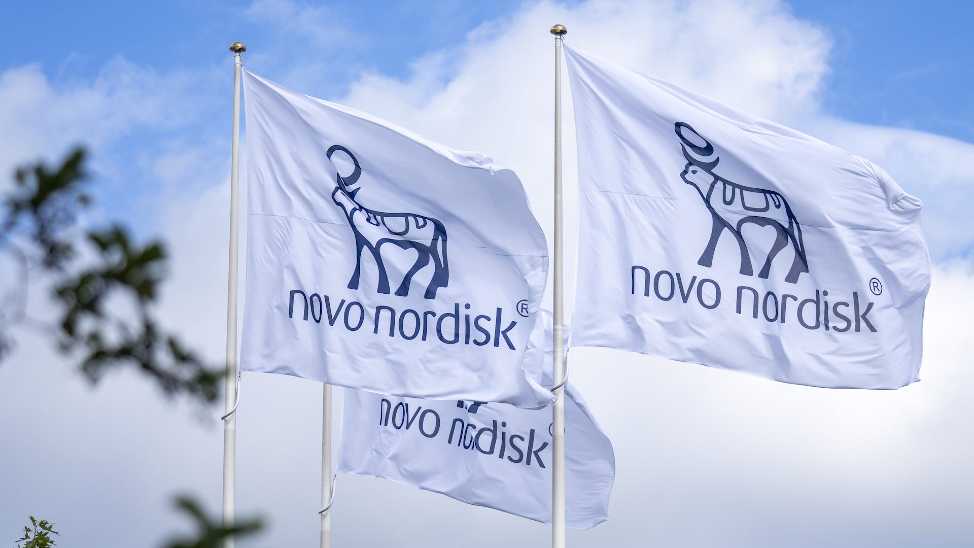 Novo Nordisk tops Tesla in market value with new obesity pill